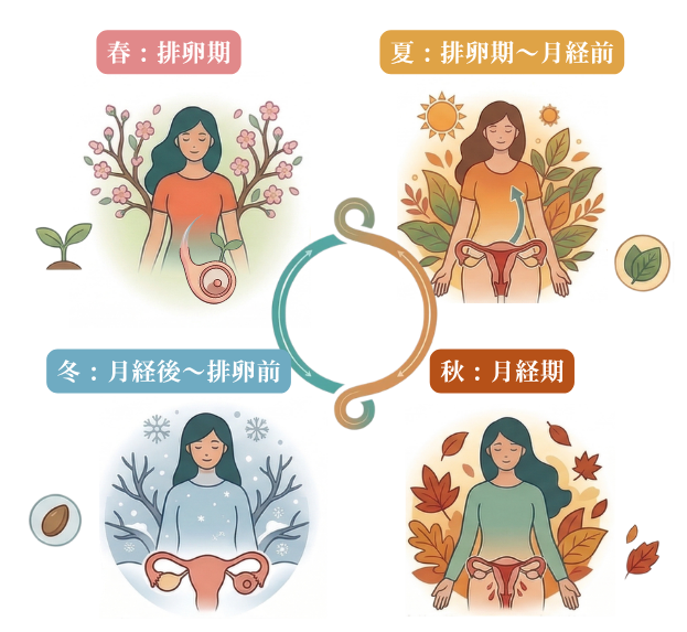 月経周期と四季